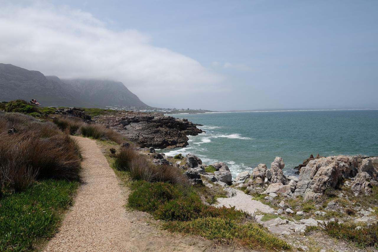 325Onmain Hermanus Exterior foto